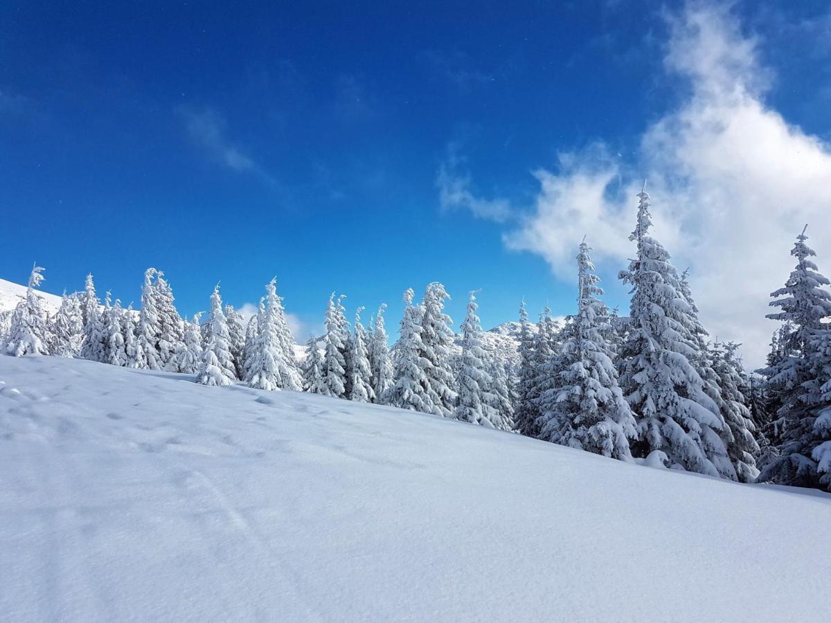 Apartman Karin, Tale, Chopok - Juh Bystrá Buitenkant foto
