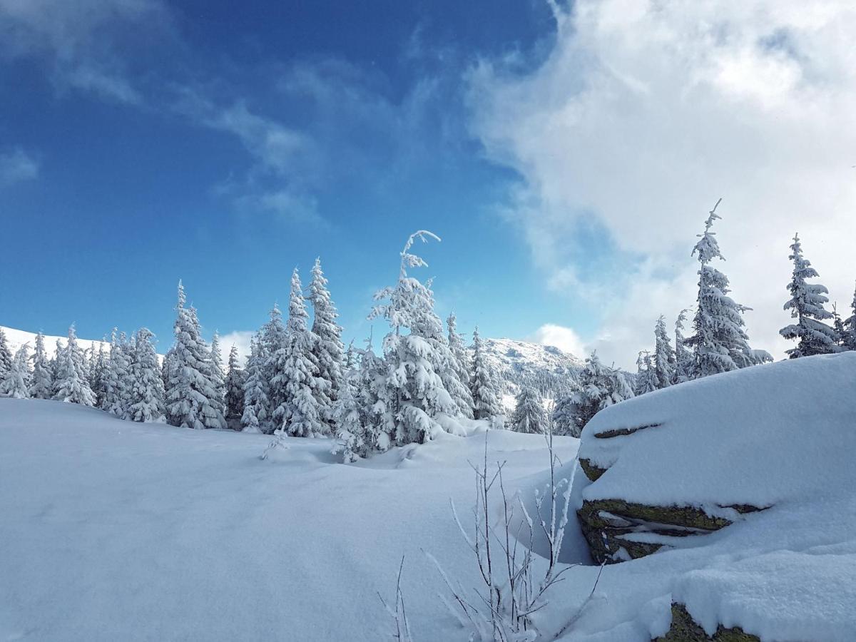 Apartman Karin, Tale, Chopok - Juh Bystrá Buitenkant foto